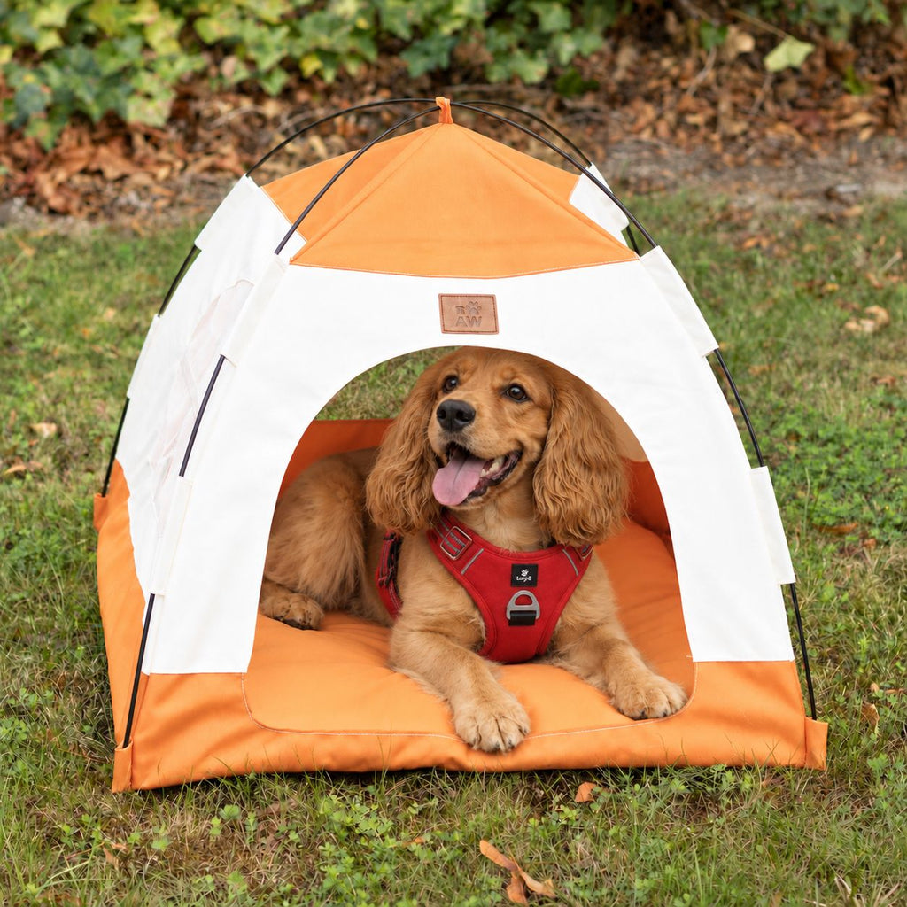 PAW beige and orange tent bed with a dog inside