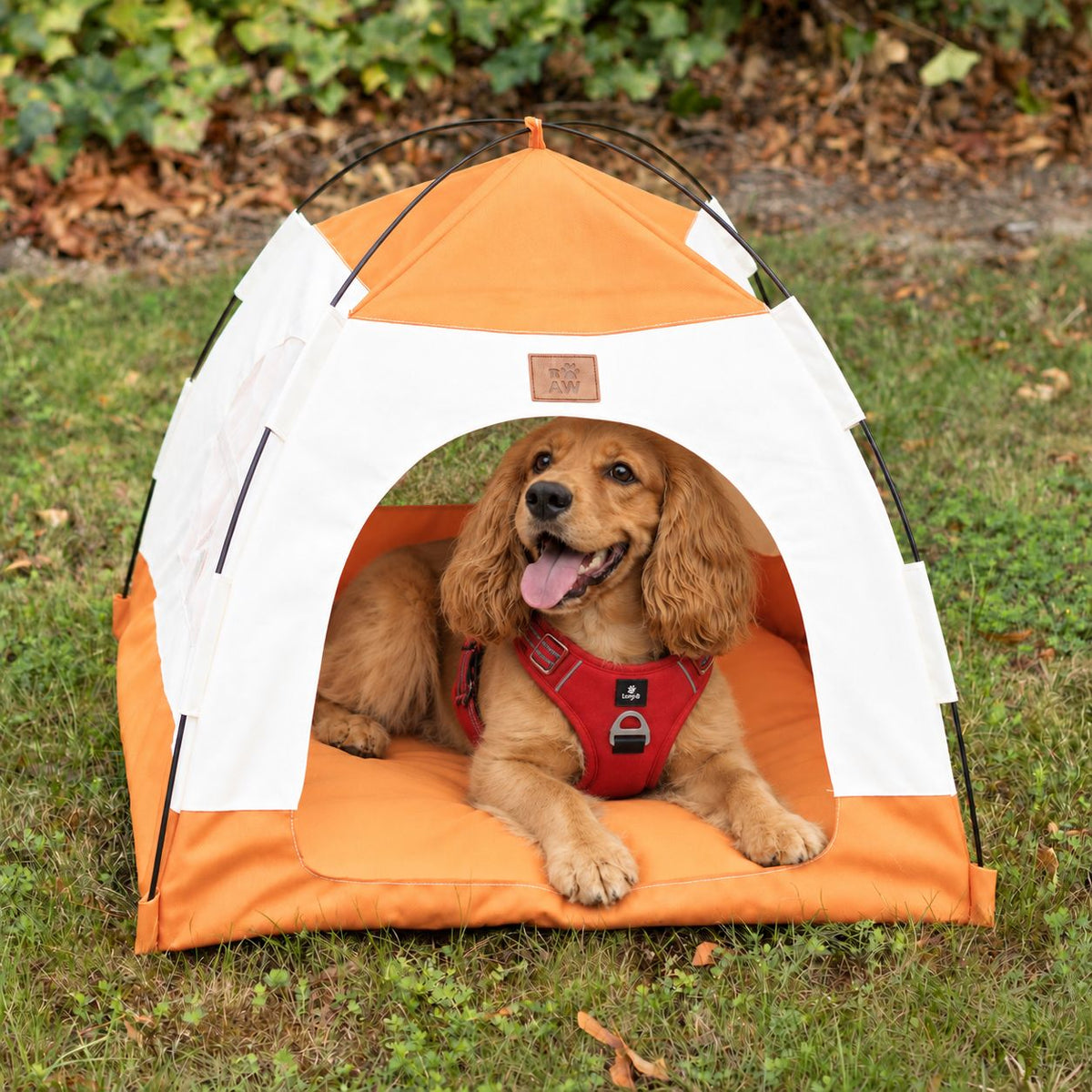 PAW beige and orange tent bed with a dog inside