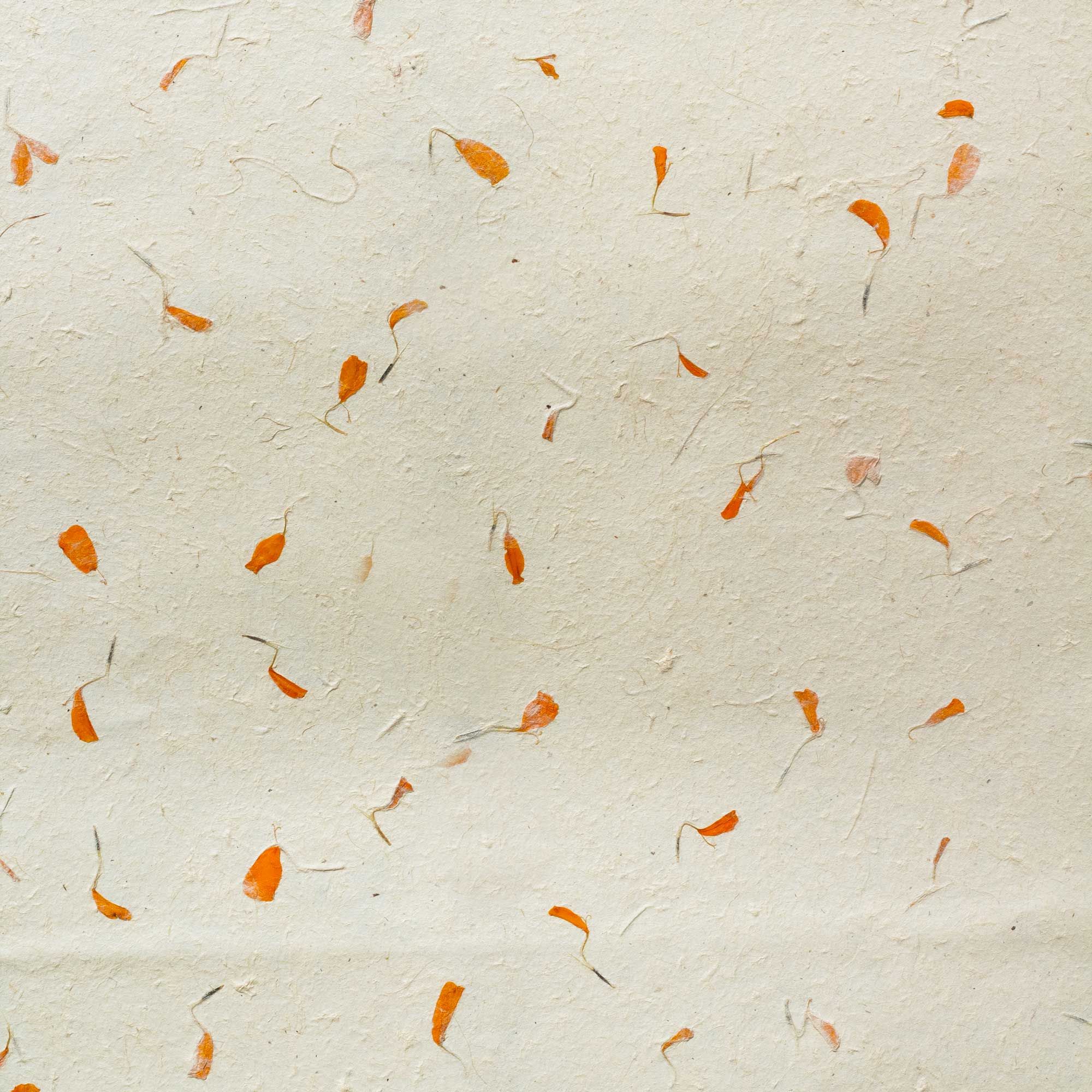 Lokta Craft & Wrapping Paper 51x76cm - Marigold