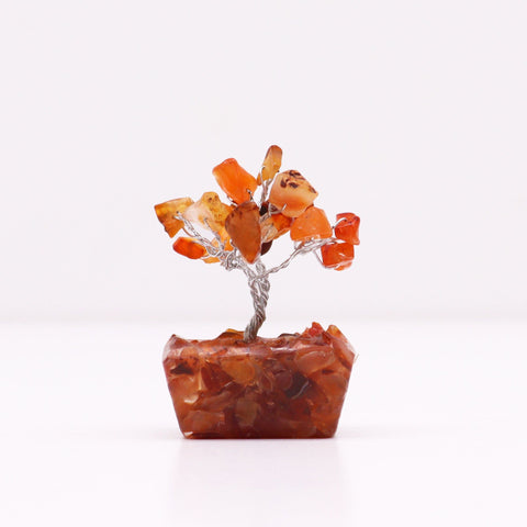 Carnelian gemstone tree shown from the front on a plain white background