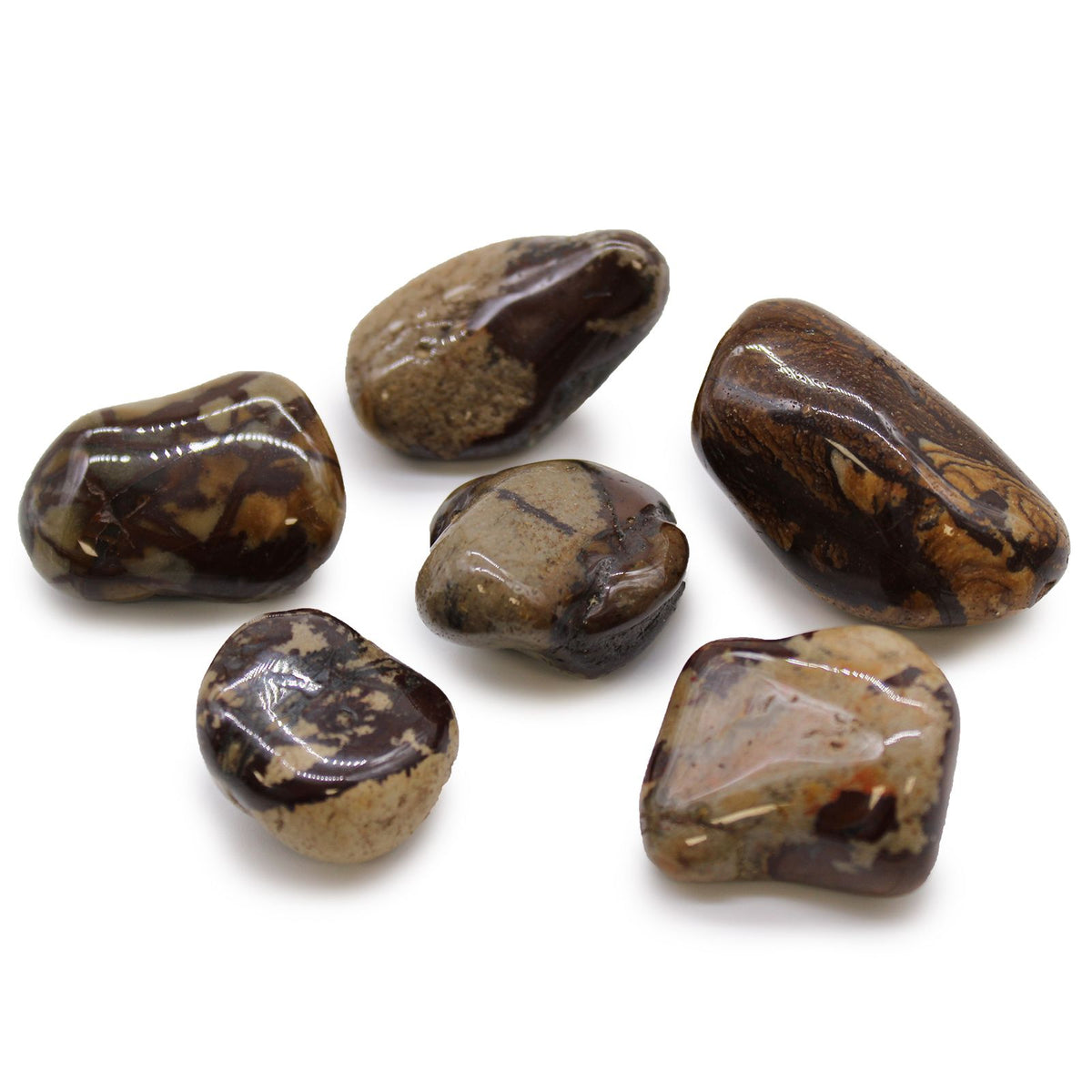 Large African Tumble Stones, Jasper Nguni, six polished stones in mottled brown, cream and dark shades