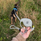 Hand holding the grey lead while walking a dog on a grassy path