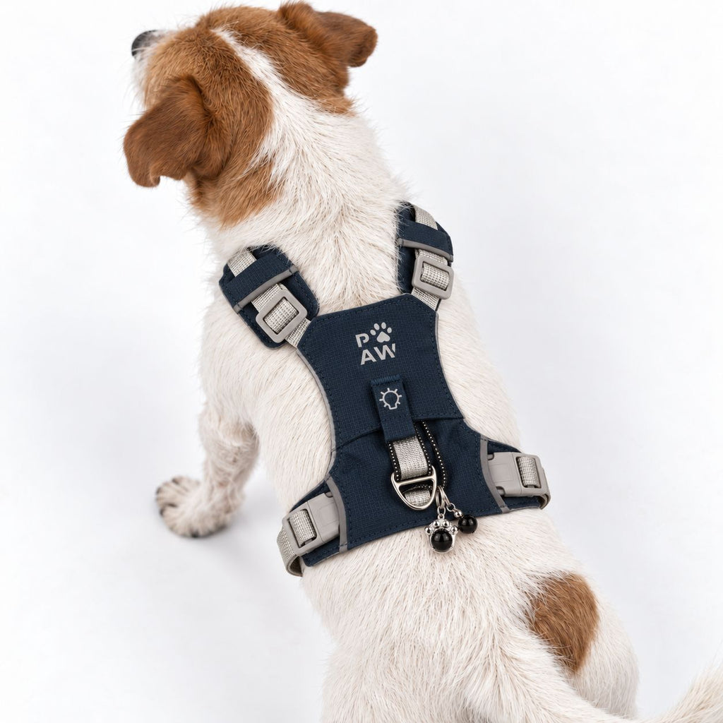 Dog wearing the harness, viewed from the side