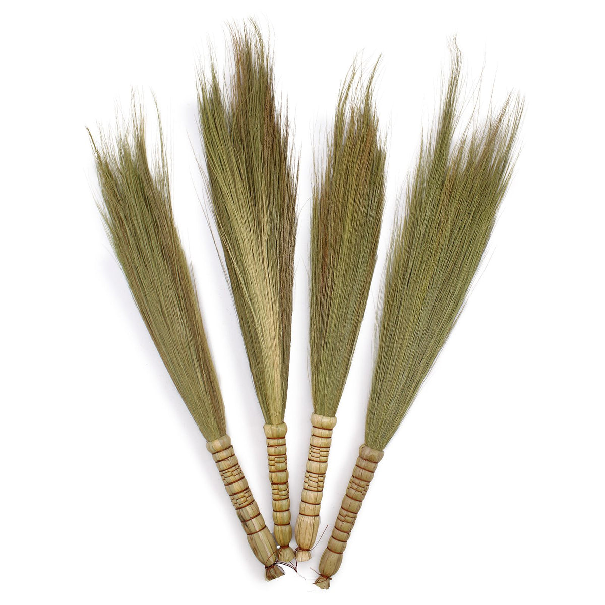Four natural pampas brooms fanned out against a plain white background
