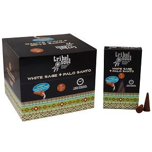 Tribal Soul Backflow Incense Cones, White Sage + Palo Santo, black and patterned box with two cones