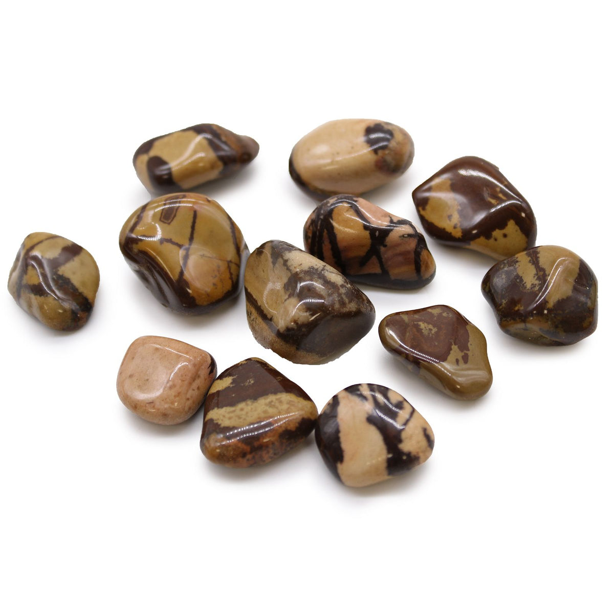 Medium African Tumble Stones, Jasper Nguni, a group of polished brown and tan stones on white