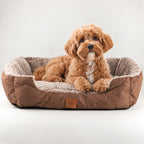 PAW Teddy Brown plush pet bed with a dog resting inside