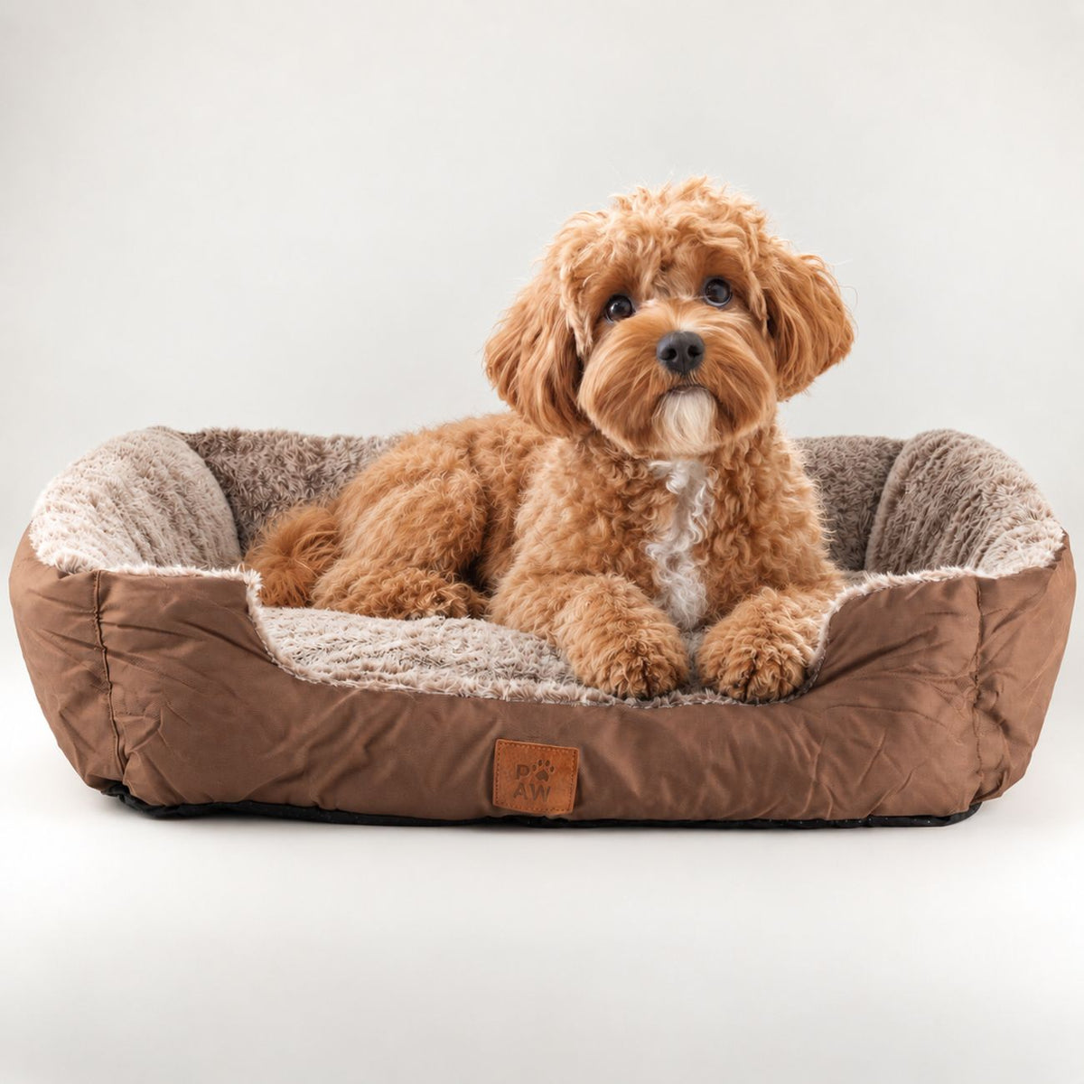 PAW Teddy Brown plush pet bed with a dog resting inside