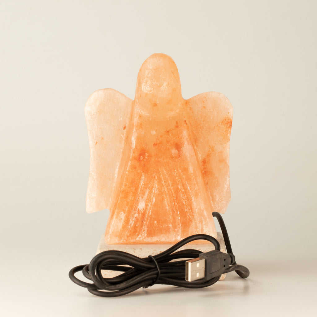 USB Angel Shaped (Multi)
