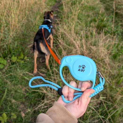 Hand holding the lead while a dog walks ahead