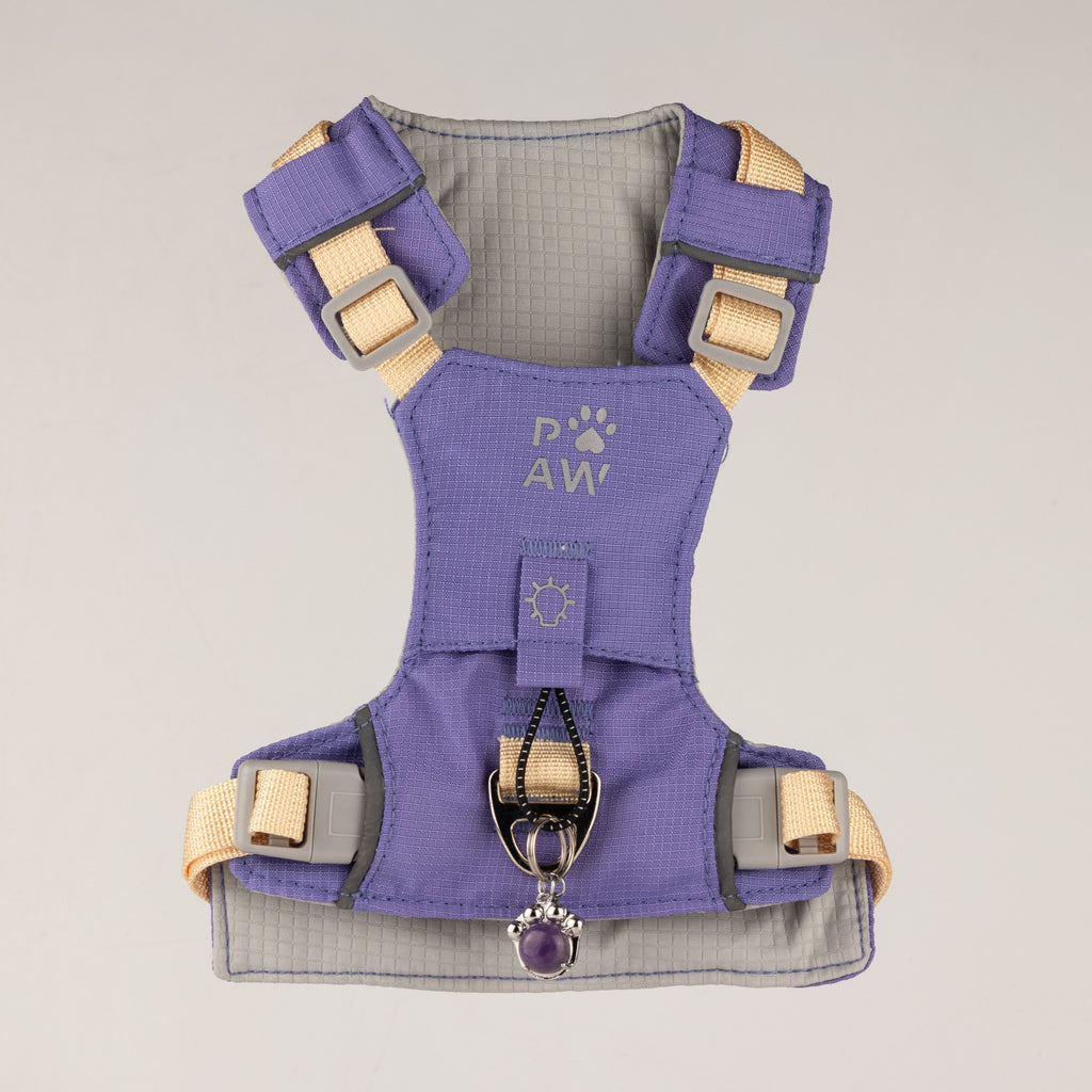 Front view of the harness showing its straps and back lead ring