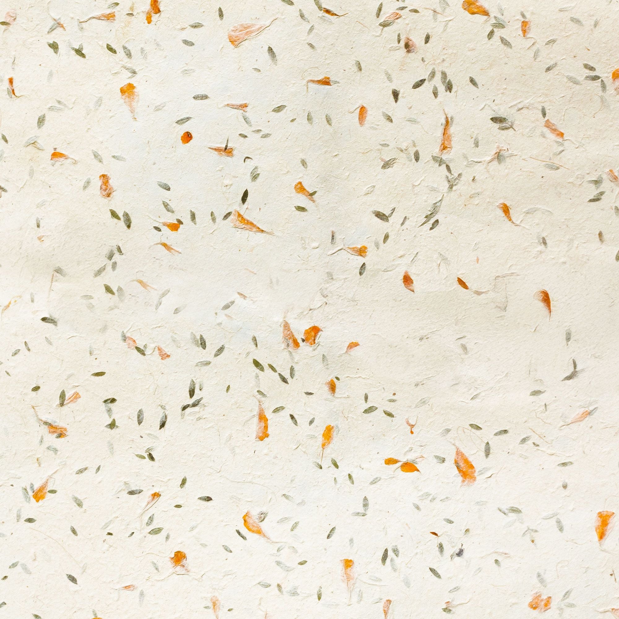 Lokta Craft & Wrapping Paper 51x76cm – Grass