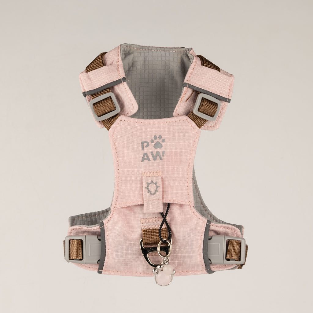 Front view of the soft pink PAW harness with adjustable straps and charm