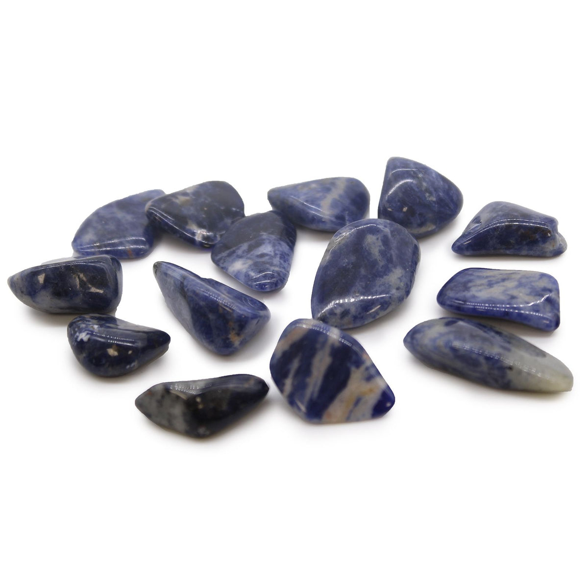 M Tumble Stone, Sodalite, a group of polished blue and white stones on a white background