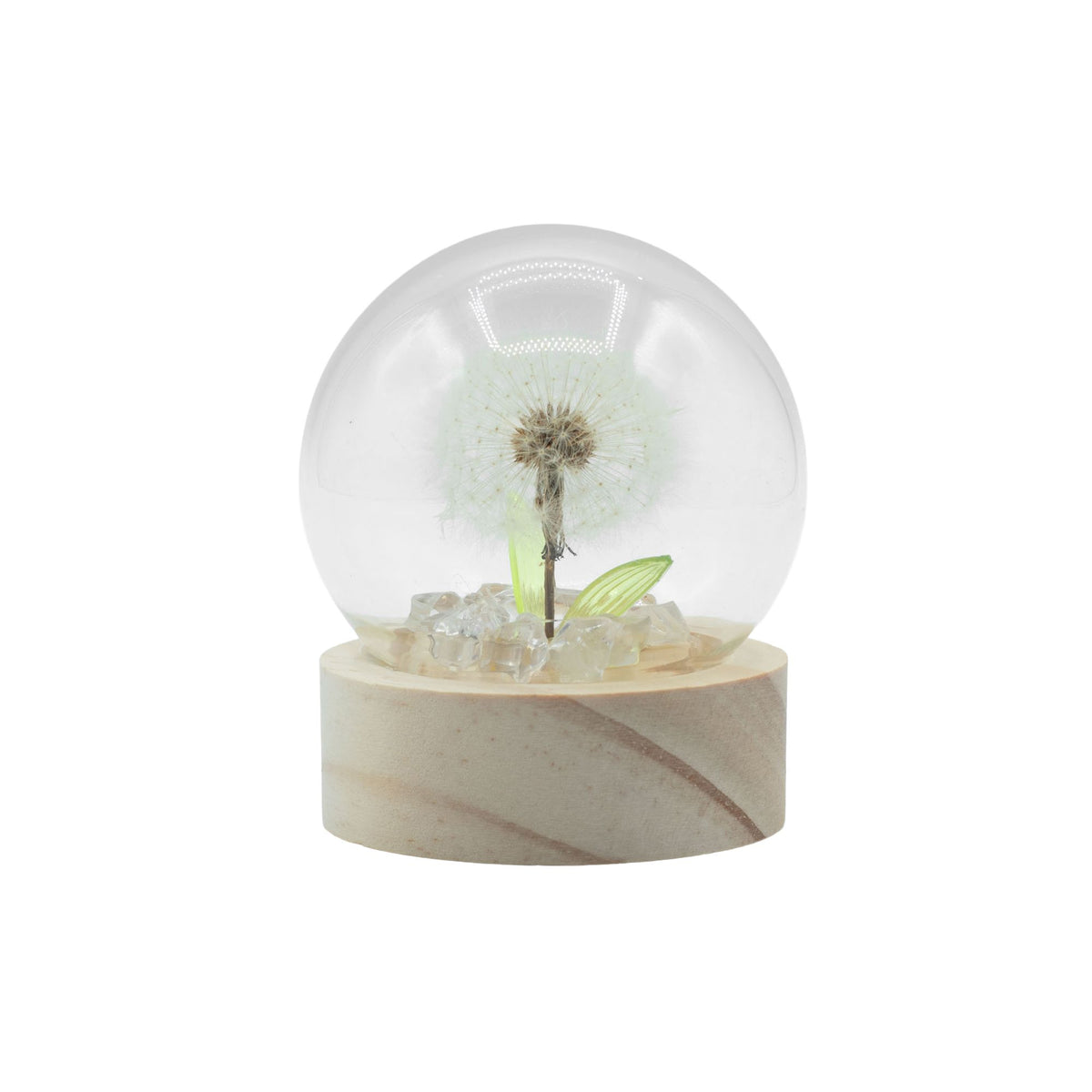 Dandelion garden dome shown from the front, unlit, with clear stones and green leaves inside