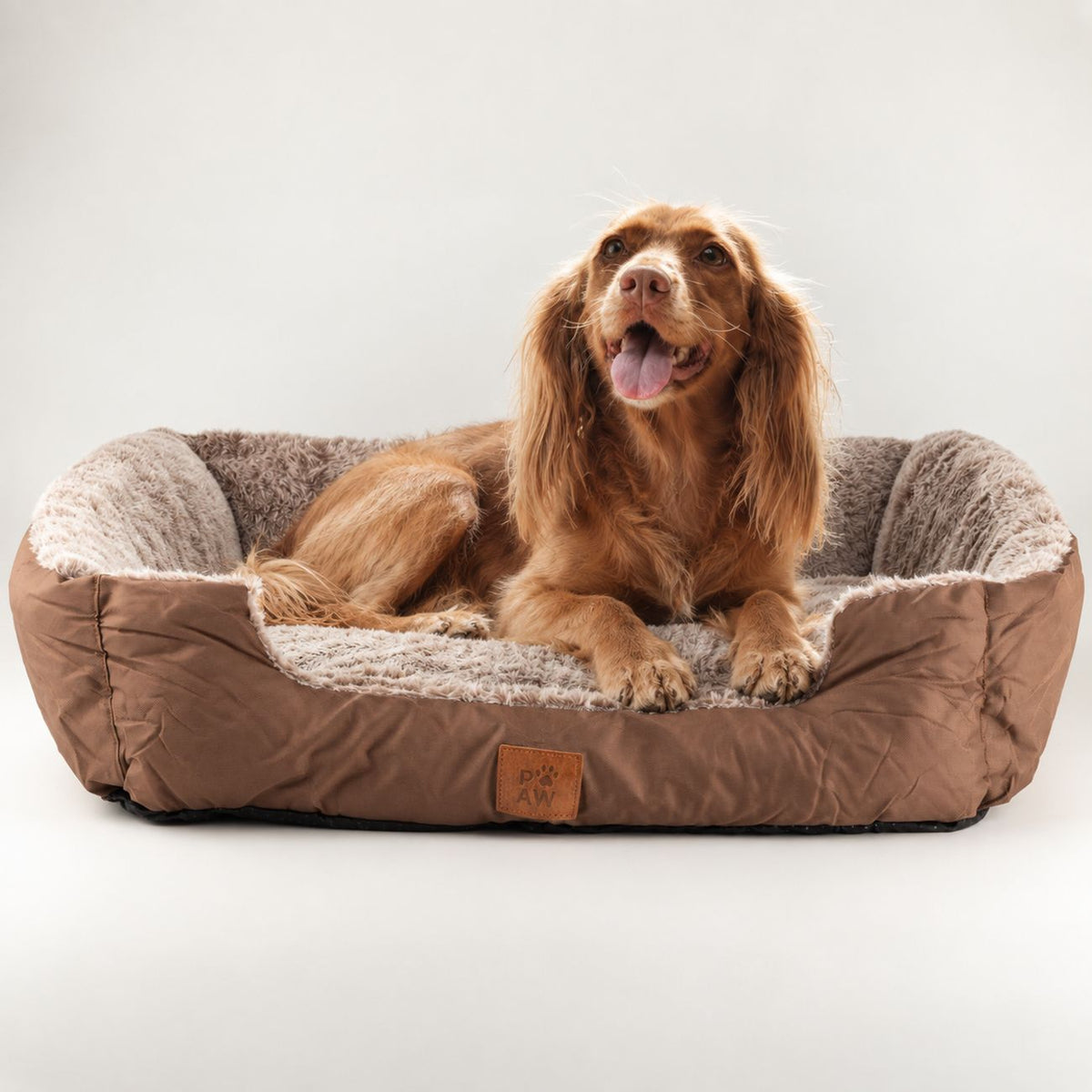 PAW teddy-brown pet bed with a dog resting inside