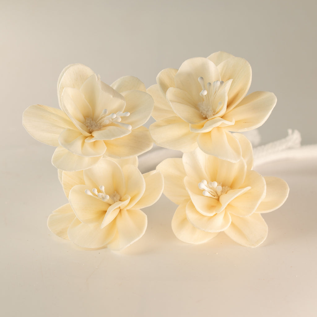 Natural Diffuser Flowers – Small Lily on String