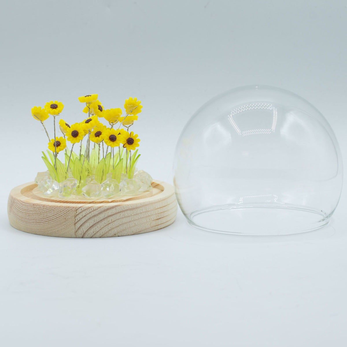 Floral Glow Garden Dome, yellow sunflowers on a pale wooden base beside the clear dome cover