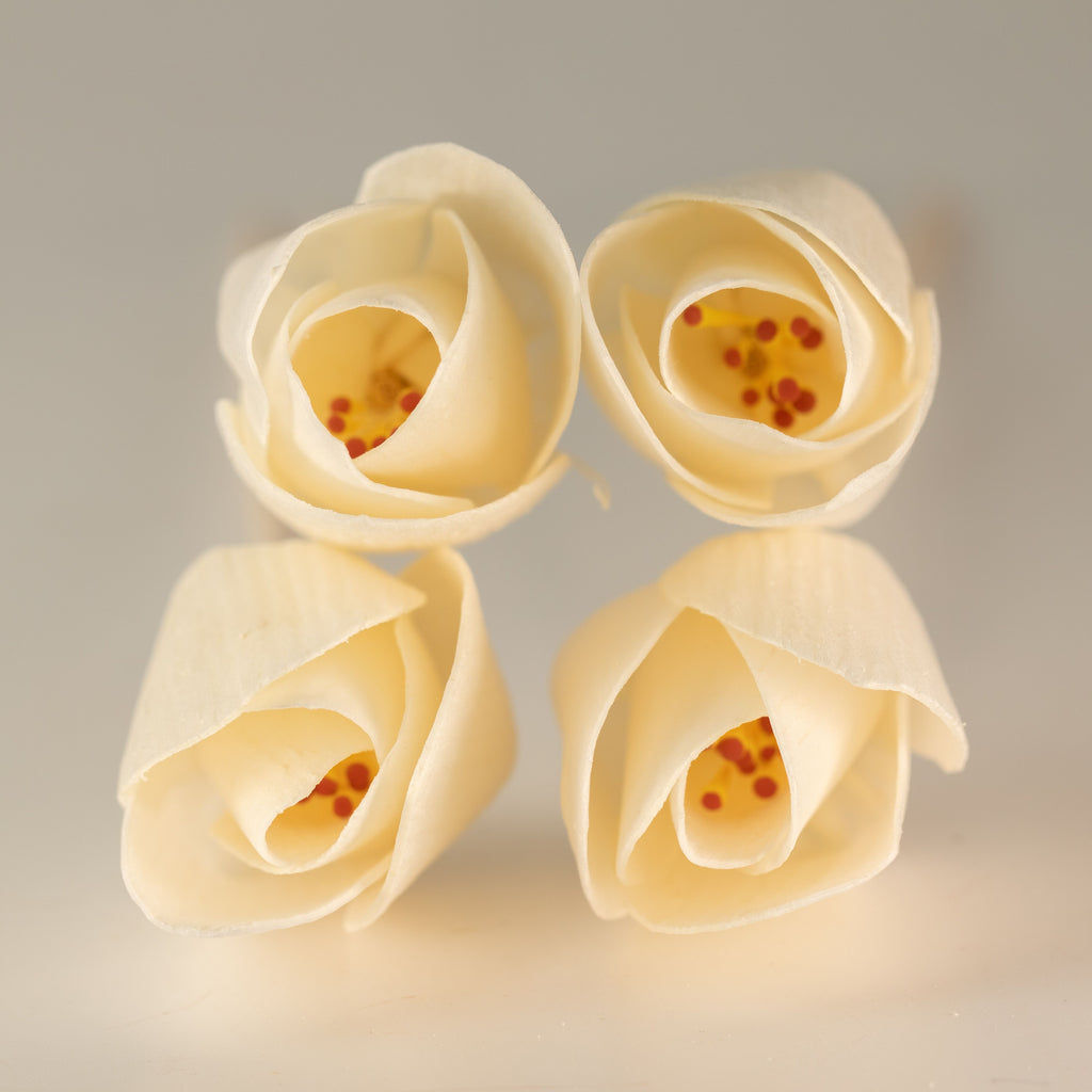 Natural Diffuser Flowers – Tulip on Reed