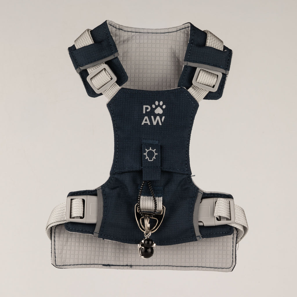 Front view showing the harness straps and clips