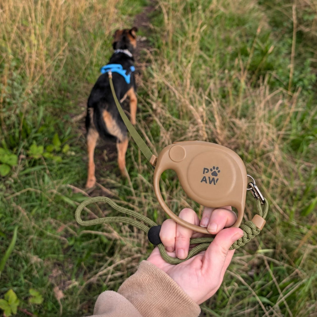Lead held in hand while attached to a dog on a path