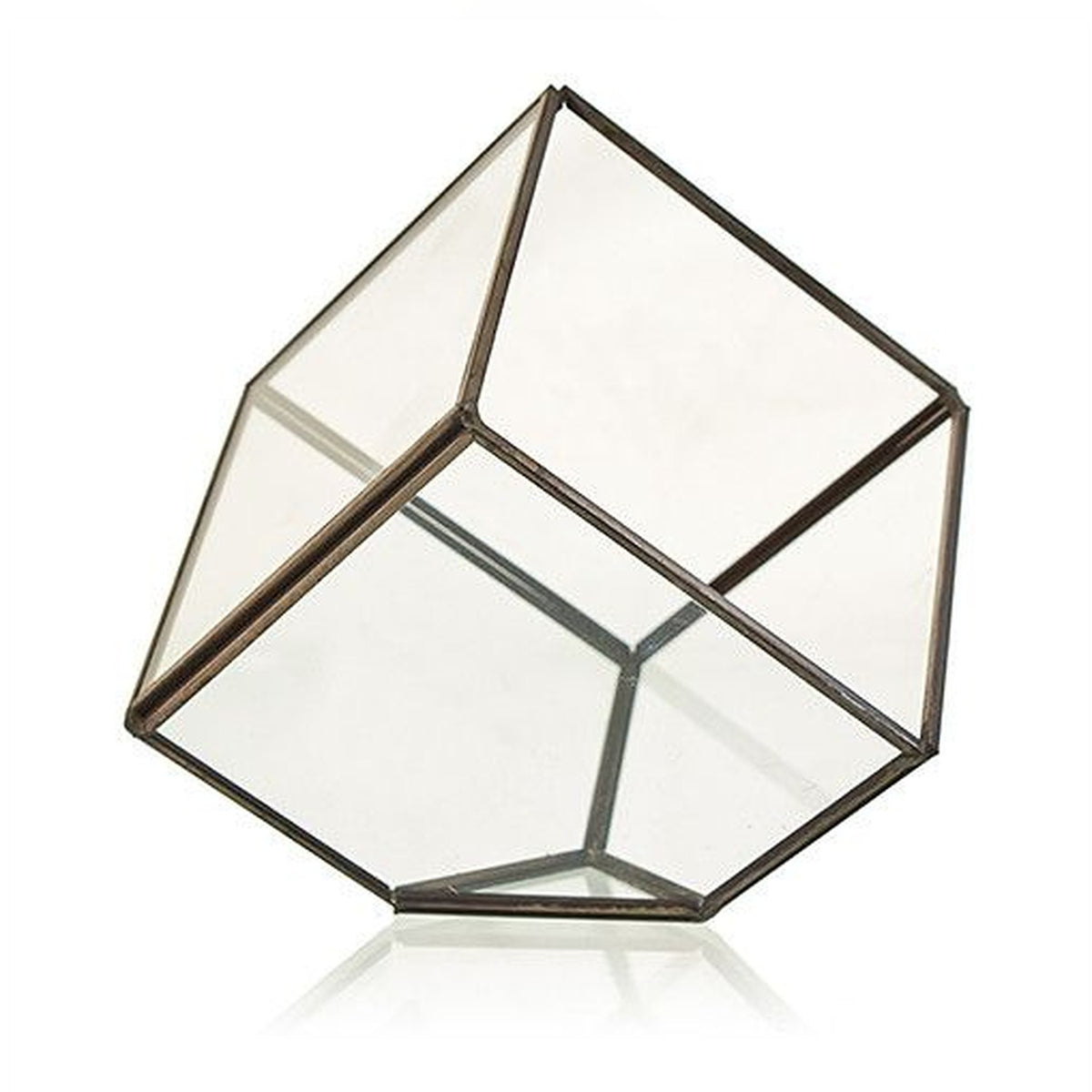 Cube on Corner glass terrarium shown empty from above, with its clear panels and dark frame visible
