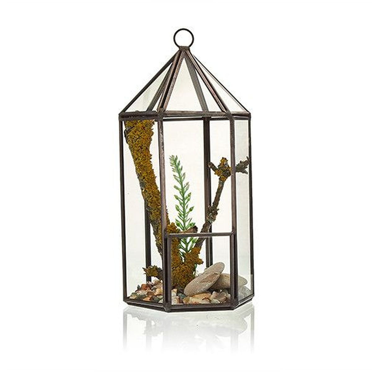 Lantern-shaped glass terrarium with moss, greenery and stones, shown alone against a white background