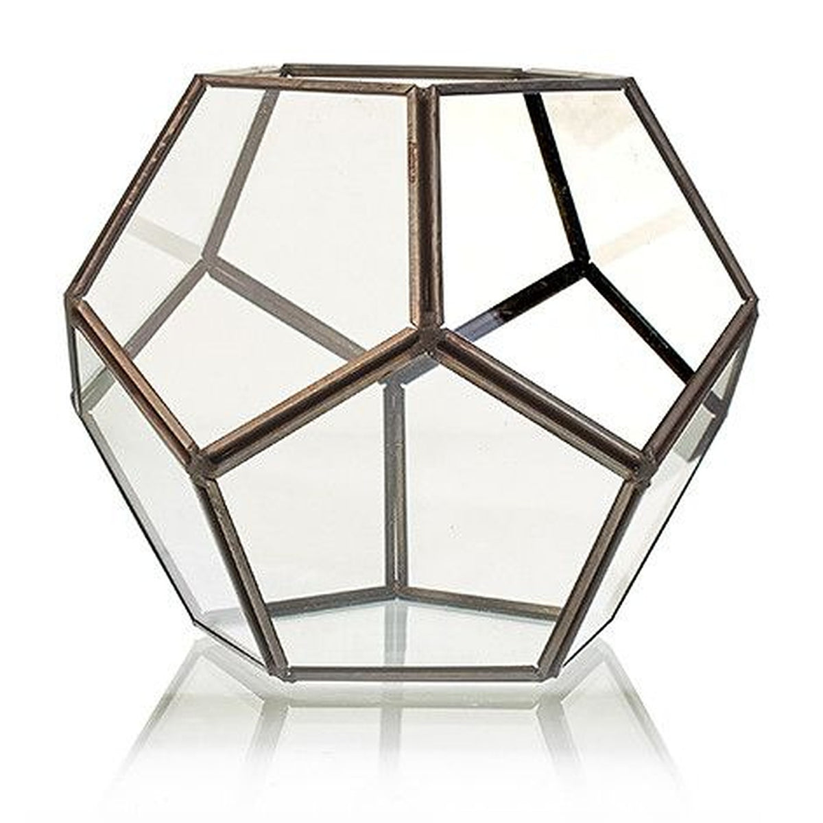 Large octagonal glass terrarium with dark metal framing, shown empty from the front