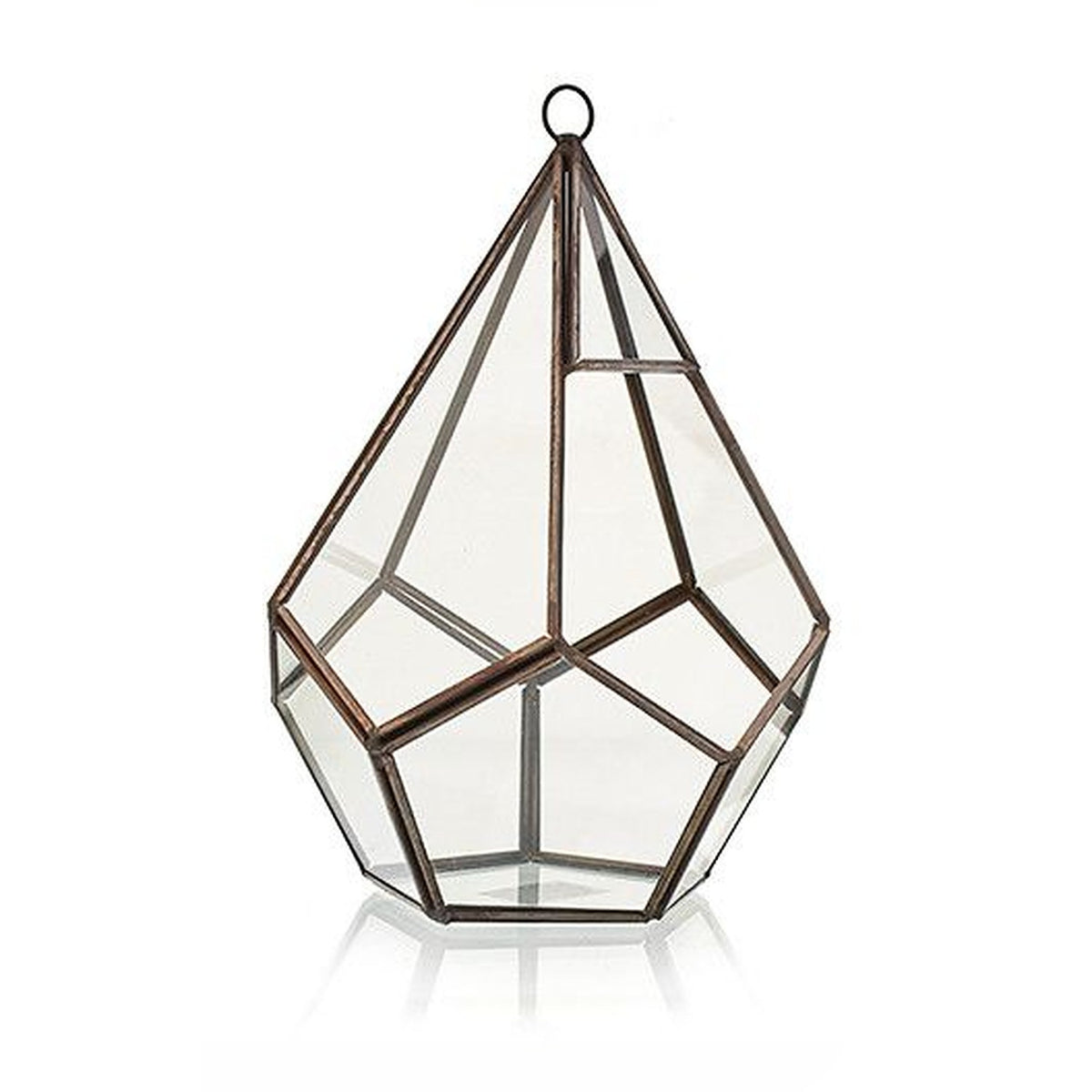Large pentagon glass terrarium shown empty against a white background, with its glass panels visible